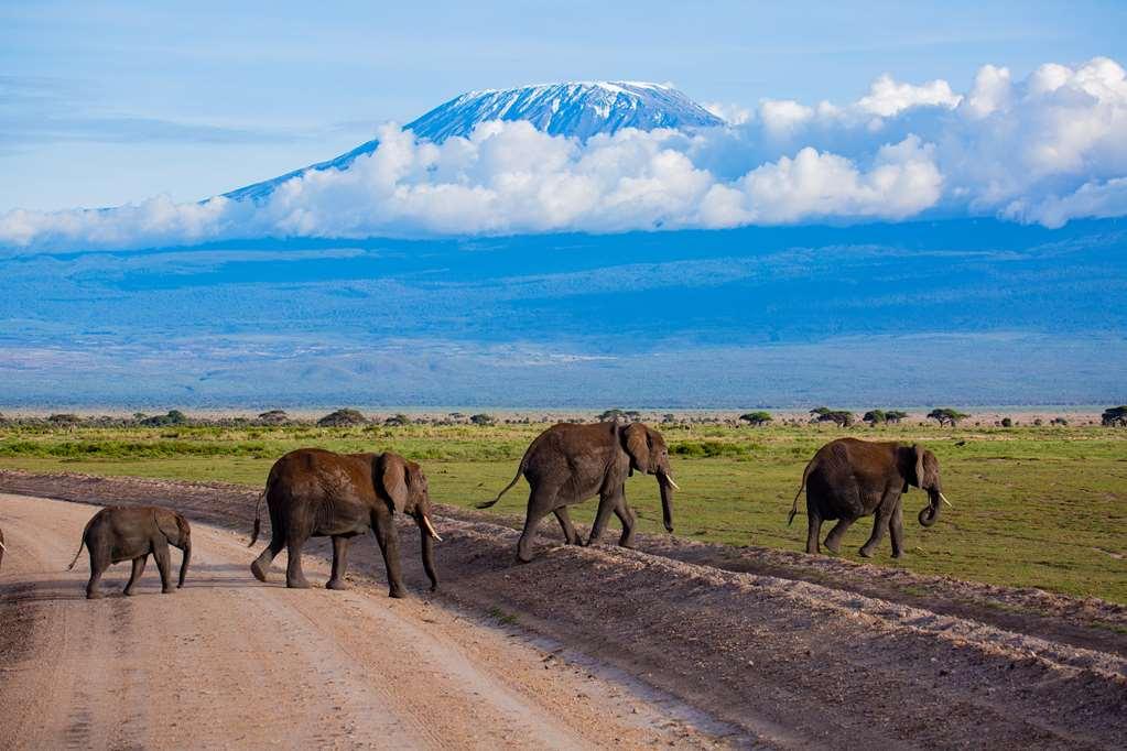 Amboseli Serena Safari Lodge Facilități foto