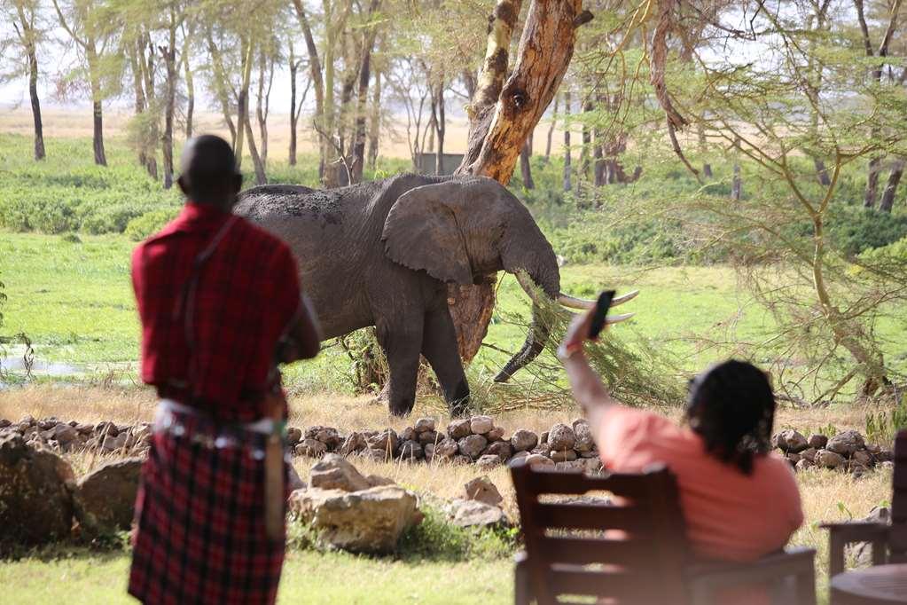 Amboseli Serena Safari Lodge Facilități foto